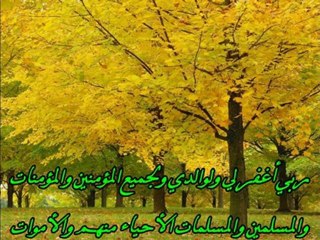 سورة الكهف كاملة خالد الجليل