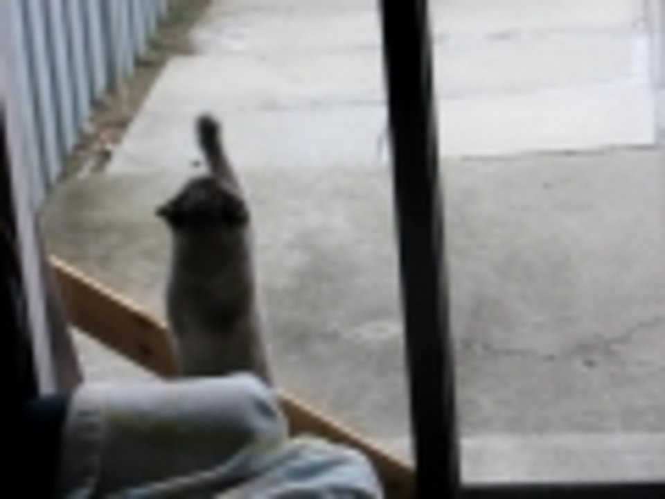 Please!! Let me outside