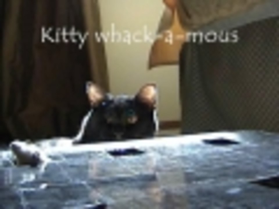 Kitty whack-a-mouse