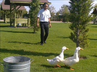 bülent ersoy aşktan sabıkalı