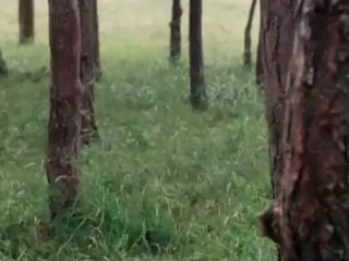 Sad Smile - Piano Medley (Tarkovsky film scenes)