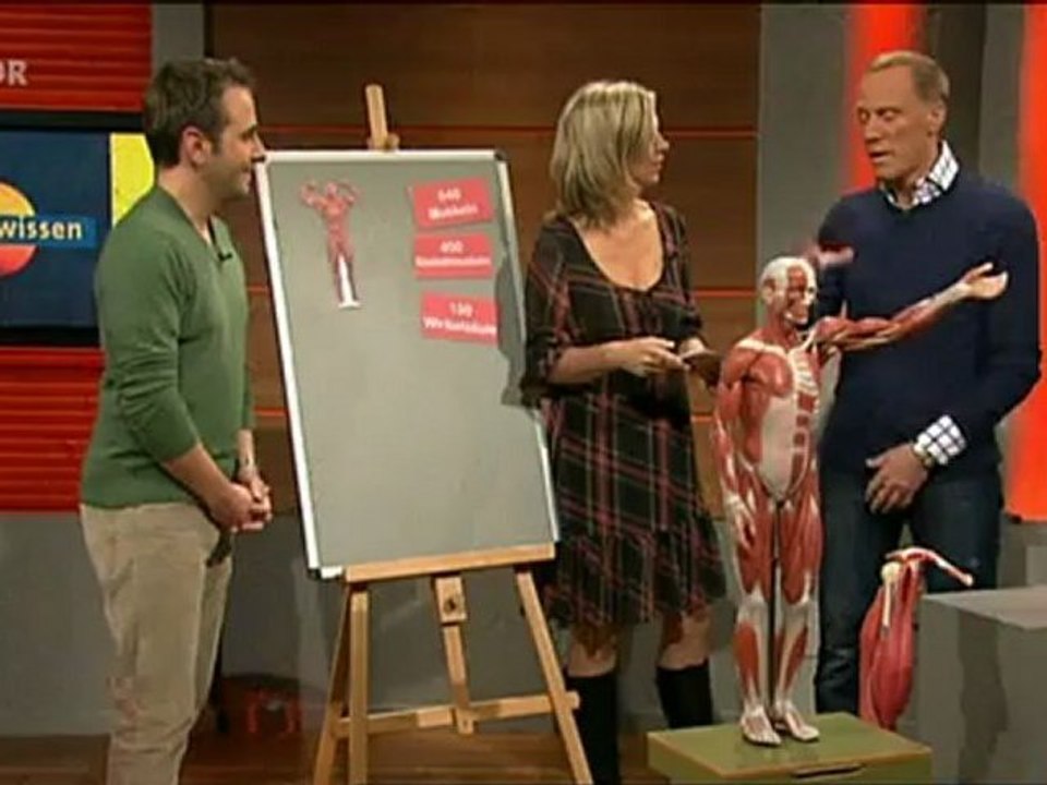 Planet Wissen: Muskeln - Mehr als nur stark! 2012-02-01