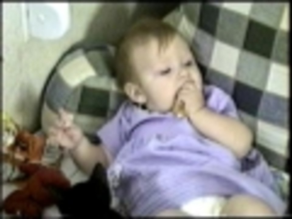 Cat Stealing from a Baby