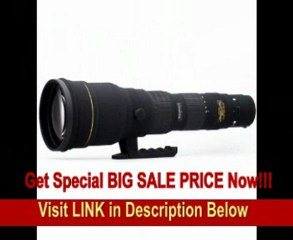Sigma 300-800mm f/5.6 EX DG HSM APO IF Ultra Telephoto Zoom Lens for Nikon SLR Cameras FOR SALE