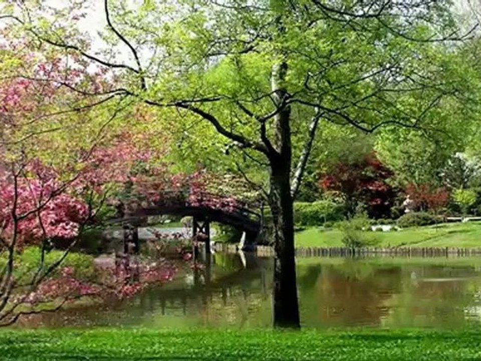 МОЯ ПЛАНЕТА...РЕЛАКС...ПРИРОДА...МУЗЫКА