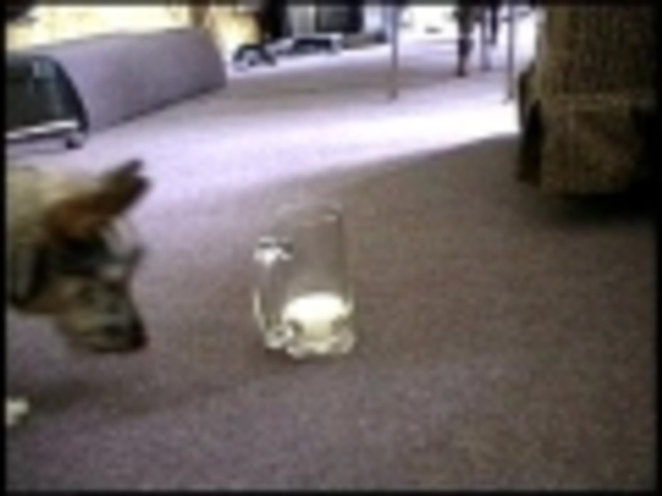 Got milk?
