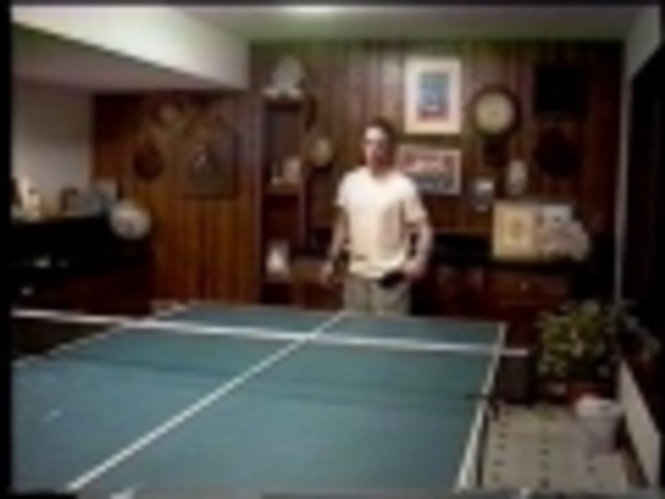 Ping Pong pooch
