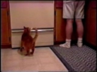 Beg like you mean it