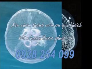 Cung cấp,bảng giá sàn gỗ tại quận 5 hcm call 0938 254 099