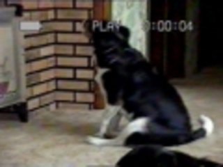 I dont know about you...