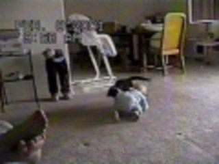 Cutest Wrestling Match Ever