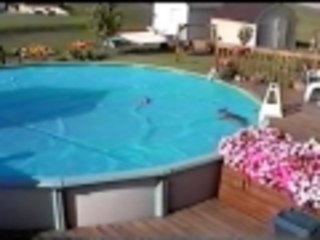 Wiener Dogs can walk on water