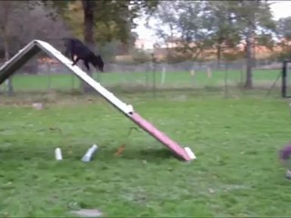 Maud Vodka Eclipse 2012-11-08