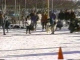 Snow dog drag racing