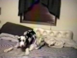 Is it a bird?  Is it a plane?...