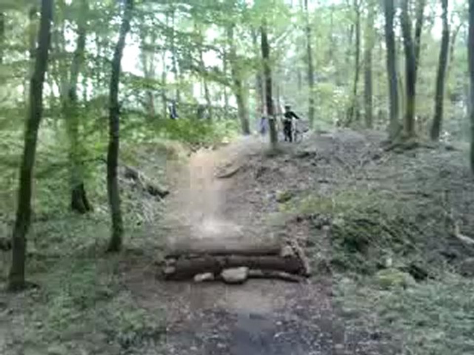 Saut tom