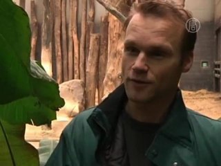 Видеокамера зафиксировала рождение слонёнка