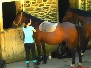 L' équitation ma passion