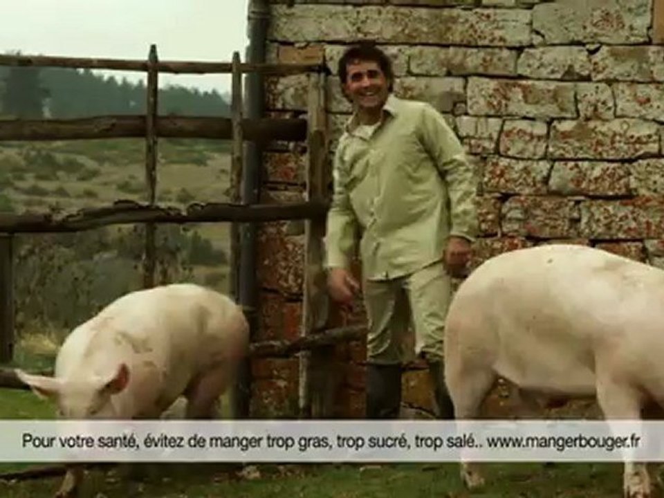 Cochons - C'est le sud !