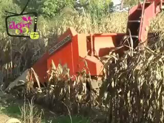 JT agri85 du vendredi 9 novembre 2012