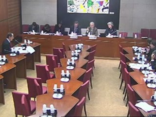 Mission d'information sur les conditions d’emploi dans les métiers artistiques