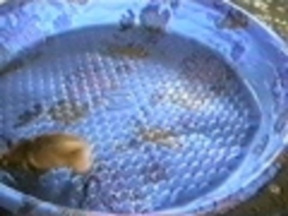 Not just for swiming anymore