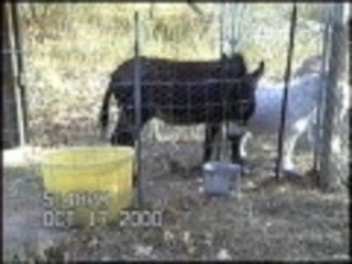 There you go putting your foot in your mouth again