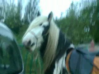 Balade du 9 novembre avec mon Hialto