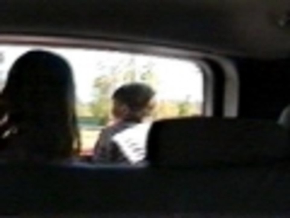 Who isnt a big fan of llamas?