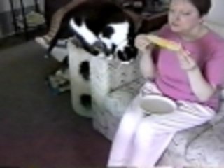 Fish flavored Corn on the Cob