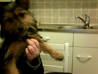 Cody écoute Grim :D