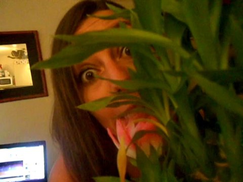 Lily présente - Une fin du monde = Une armé de tarés !!