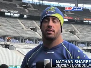 N. Sharpe : "Ils vont essayer de nous en faire voir de toutes les couleurs"