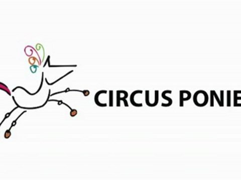 Circus Ponies NoteBook Funny Radio Ad - Pool Hall