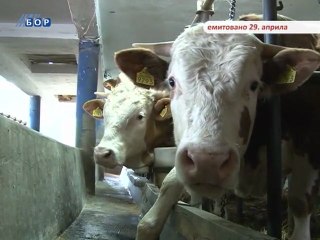 Selo moje (Best of), 11. novembar 2012.