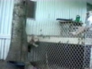 You have officially seen everything now