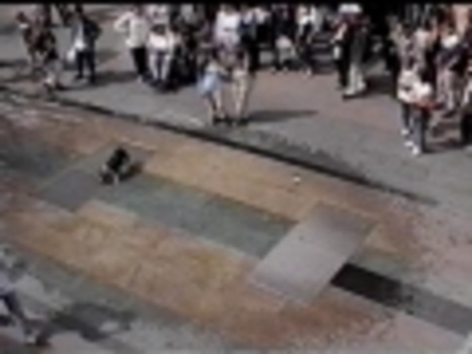 Dog and the Dancing Waters