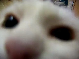 tirage au sort article