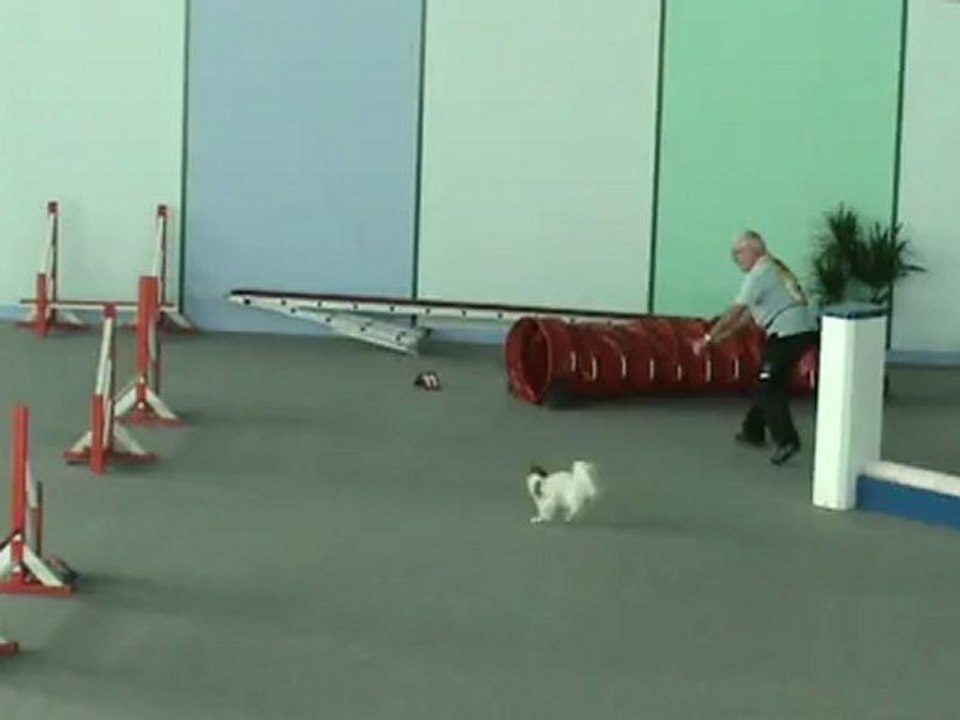 Jumping Serge