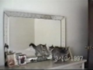 That cat knows all my moves