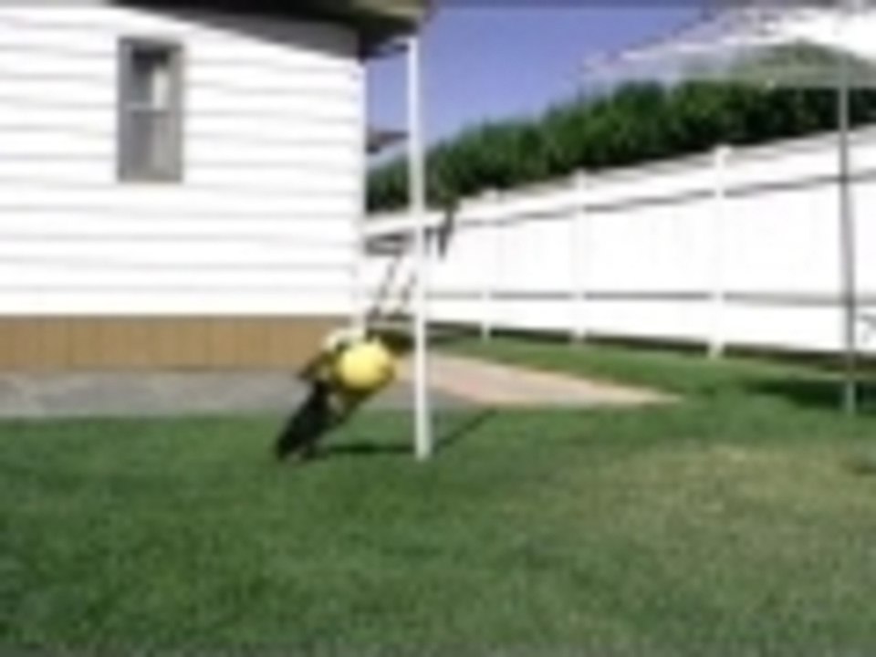 Tetherball training camp