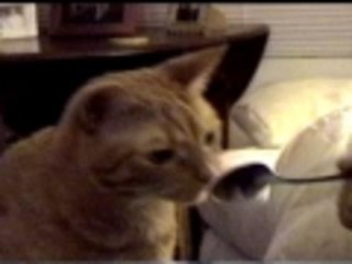 I cant believe how good my nose tastes