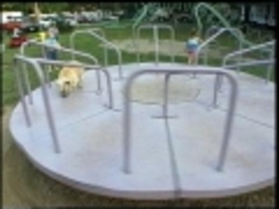 doggy-go-round