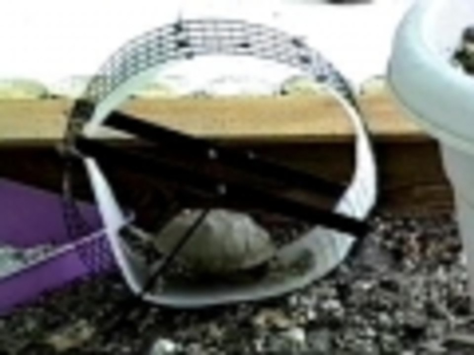 Slow and steady didnt win the race