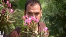 المسلسل المدبلج غلطة حياتي الحلقة  101