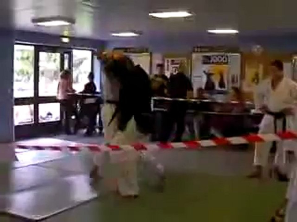 Demo Kihon Kata