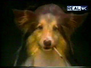 ORA PURE GLI ANIMALI FUMANO