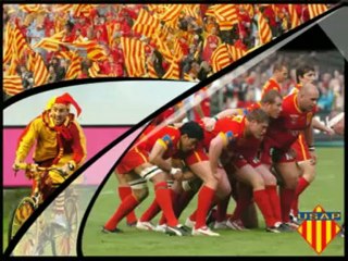 Pit le ch'ti de Pia   notre biloute migrateur