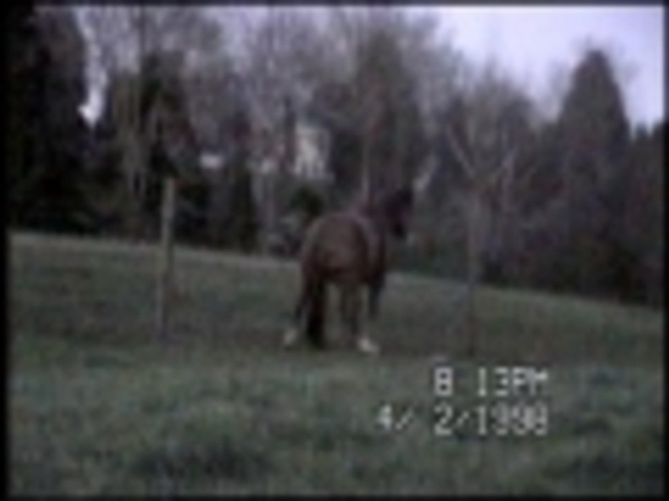 Ive got an itch I just cant scratch