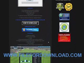 Football Manager 2013 WORKING CRACK
